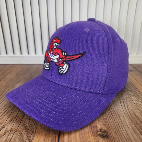Toronto Raptors Mitchell Ness Hardwood Classic Snapback Hat Cap Purple Red NBA - Picture 1 of 10